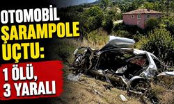 Otomobil şarampole uçtu; Sürücü öldü, 3 yaralı