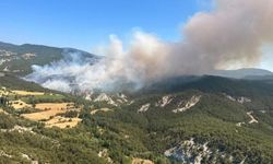 Bolu'da ormanlara giriş 30 Eylül'e kadar yasaklandı