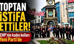 Toptan istifa ettiler