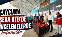 Çaycuma Sera OTB’de incelemelerde bulunuldu