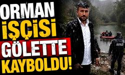 Serinlemek için gölete giren orman işçisi kayboldu