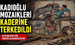 Kadıoğlu mozaikleri kaderine terkedildi