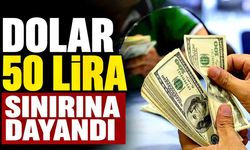 Dolar 50 lira sınırına dayandı