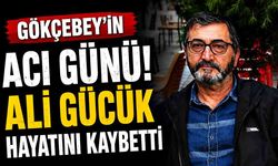 Gökçebey'in Acı Günü! Ali Gücük Hayatını Kaybetti