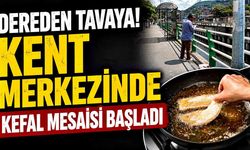 Zonguldak'ta dereyi kefal bastı, oltasını kapan koştu
