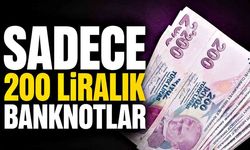 Sadece 200 liralık banknotlar