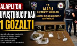 Alaplı'da uyuşturucudan 1 gözaltı