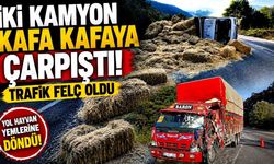 Feci Kaza! İki Kamyon Kafa Kafaya Çarpıştı