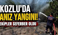 Kozlu’da anız yangını! Ekipler seferber oldu