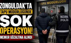 Tapu Müdürlüğünde görevli memur, dolandırıcılık suçlamasıyla gözaltına alındı