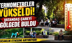 Termometreler yükseldi, vatandaş çareyi gölgede buldu