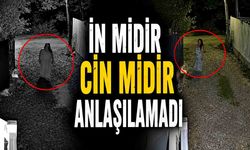 İn midir Cin midir anlaşılamadı