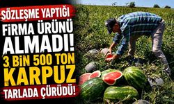 Sözleşme yaptığı firma ürünü almayınca 20 milyon lira zarar etti
