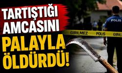 Tartıştığı amcasını palayla öldürdü
