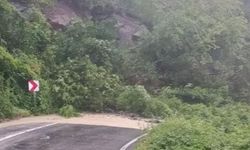 Cide-Doğanyurt yolu ulaşıma açıldı