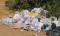 Balık tutmak için gittiği gölde çöp yığınıyla karşılaştı: Poşet poşet topladı