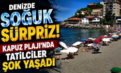 Denizde soğuk sürpriz! Kapuz Plajı'nda tatilciler şok yaşadı