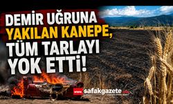 Demirini satmak için yaktıkları kanepe, 10 dönümlük tarlayı küle çevirdi