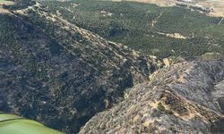 Denizli'de korkutan yangın kontrol altına alındı