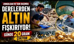 Derelerden Altın Fışkırıyor! Günde 20 Gram Çıkıyor