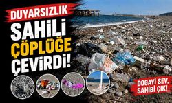Duyarsızlık sahili çöplüğe çevirdi!