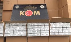 Düzce'de kaçakçılara göz açtırılmıyor