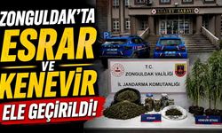 Zonguldak'ta esrar ve kenevir ele geçirildi
