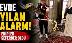 Evde Yılan Alarmı! Ekipler Seferber Oldu