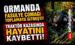 Ormana fasulye çomağı toplamaya gitmişti: Traktör kazasında öldüğü ortaya çıktı