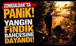 Zonguldak'ta Panik! Yangın Fındık Bahçesine Dayandı