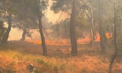 Gazeteciler alevler arasından zor kurtuldu