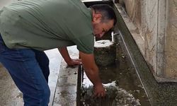 Hayvanlar için kolları sıvadı! Duyarlı vatandaşın hareketi alkışlandı