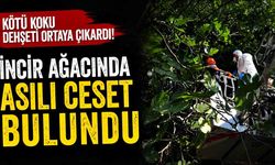 Kötü Koku Dehşeti Ortaya Çıkardı!