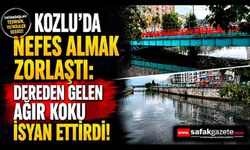 Kozlu’da nefes almak zorlaştı: Dereden gelen ağır koku isyan ettirdi!