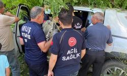 Kamyonet şarampole devrildi: 2 yaralı
