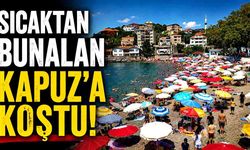 Sıcaktan Bunalan Kapuz'a Koştu!