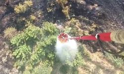 Karabük'te çıkan anız yangını söndürüldü