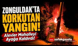 Zonguldak’ta korkutan yangın: Evlere sıçramadan söndürüldü!