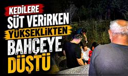 Kedilere süt verirken yükseklikten bahçeye düştü