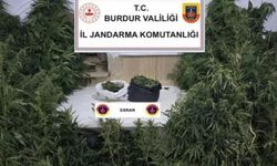 Kenevirleri sularken suçüstü yakalandı