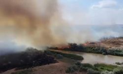 Kızılırmak Nehri çevresinde korkutan örtü yangını