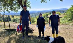 Küçükbaş hayvanlara aşılama ve küpeleme yapıldı