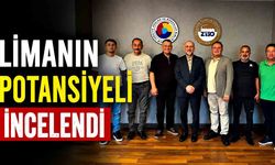 Limanın potansiyeli incelendi