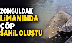 Zonguldak Limanı'nda Çevre Alarmı: Derelerin Taşıdığı Atıklar "Çöp Sahili" Oluşturdu