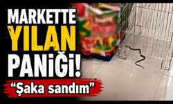 Bolu’da markette yılan paniği: "Şaka sandım"