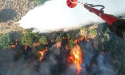 Menemen’deki yangına havadan 6 uçakla müdahale