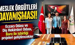 Meslek Örgütleri Dayanışması