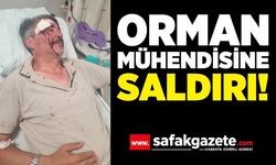 Görev Başındaki Orman Mühendisine Saldırı! Sendikadan Sert Tepki