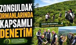 Ormanlarda Yoğun Mesai! Çalışmalar Yerinde Denetlendi