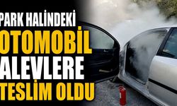 Park halindeki otomobil alevlere teslim oldu: Yangın tüpleriyle seferber oldular